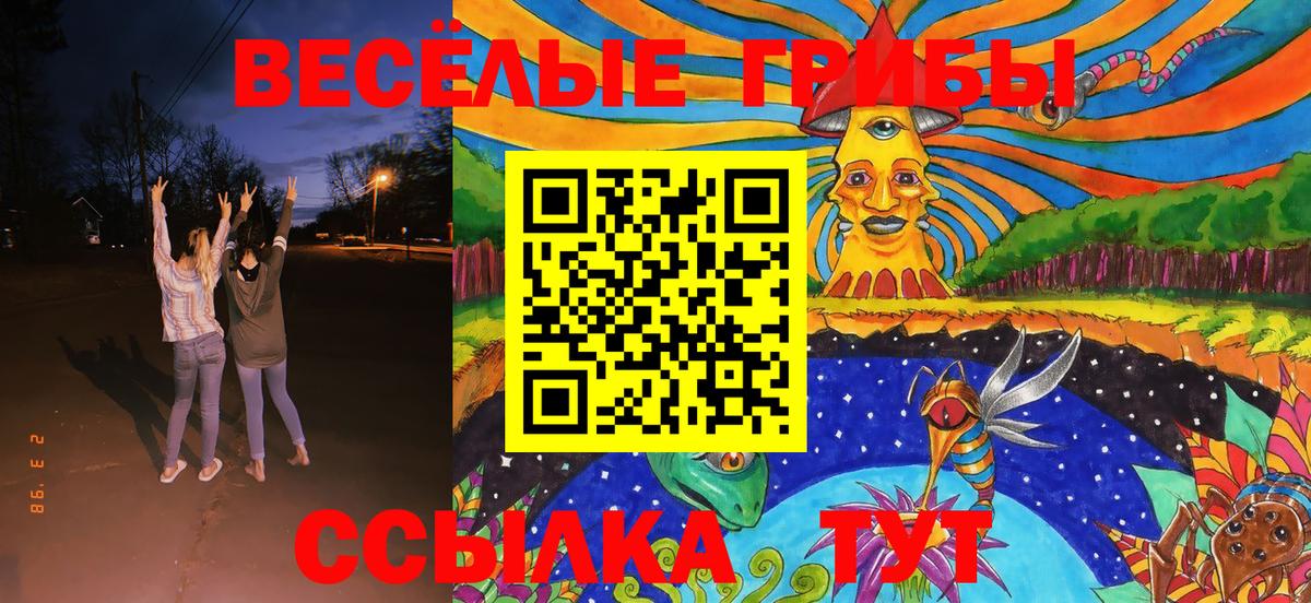 Мценск  Псилоцибиновые грибы MAGIC MUSHROOMS  купить  цена  Вход с VPN 