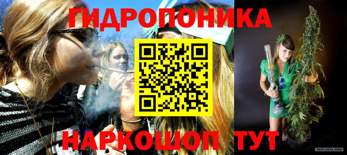 Шишки марихуана VHQ  Конопля VHQ  Конопля LSD WEED  Вход с VPN  Мценск  Марихуана тримм 